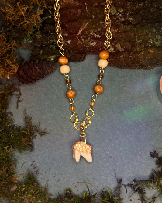 Deer Tooth Necklace
