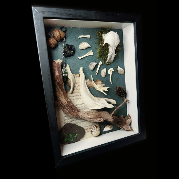 Shoreline Shadow Box